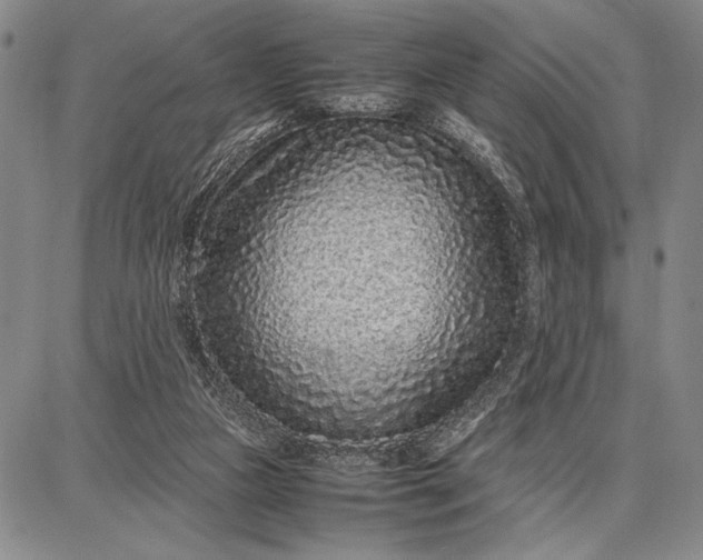 X0000087670161200705181713