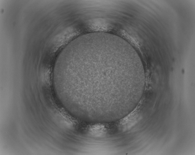 X0000087670162200705181713