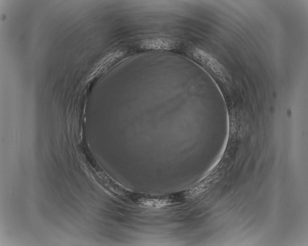 X0000087670163200705181713