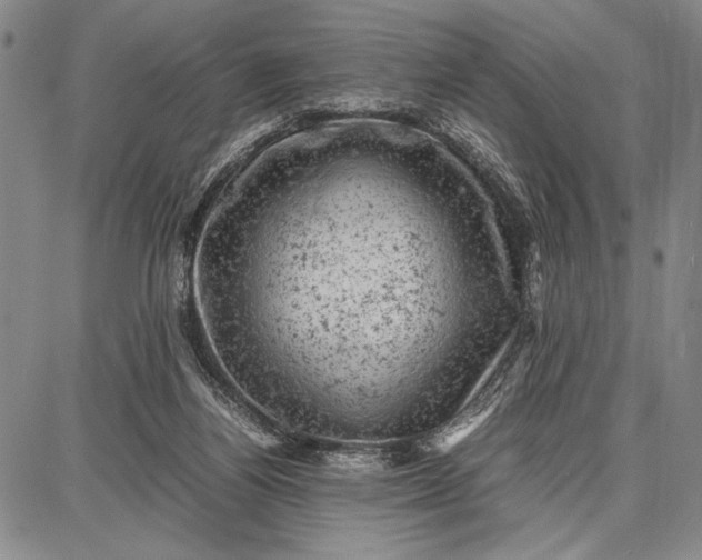 X0000087670164200705181713