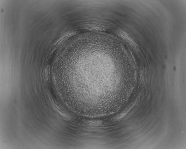 X0000087670165200705181713