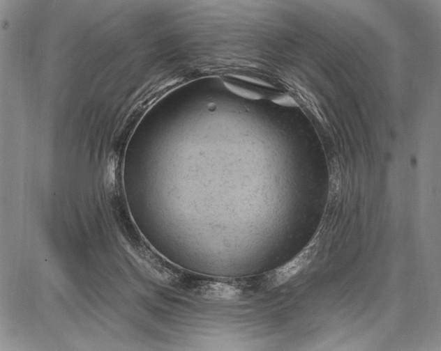 X0000087670166200705181713