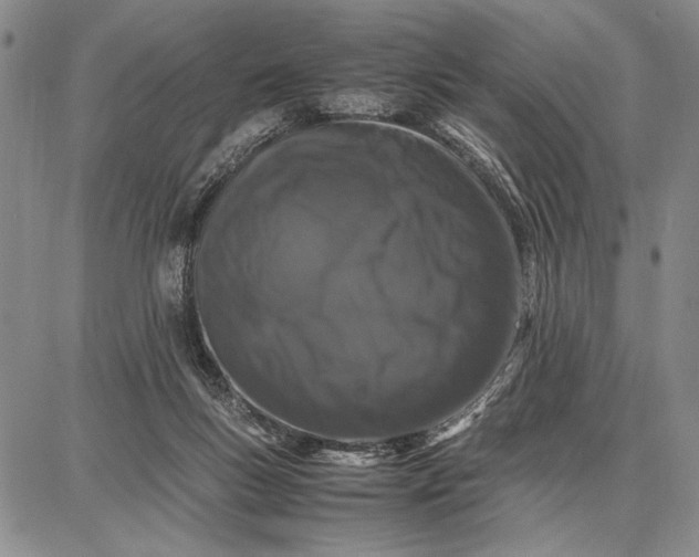 X0000087670167200705181713