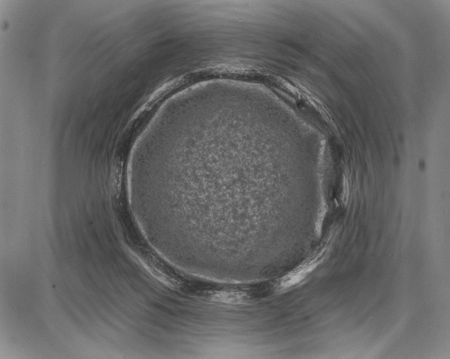 X0000087670168200705181713