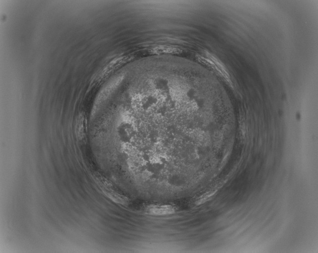 X0000087670169200705181713