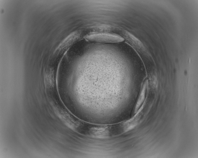 X0000087670170200705181713