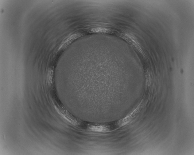 X0000087670171200705181713