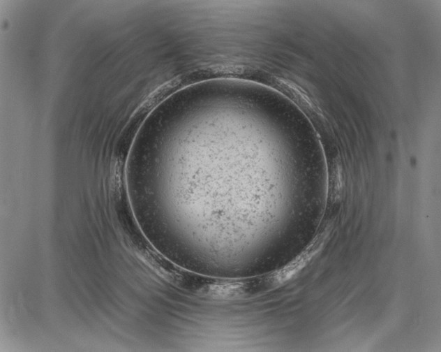 X0000087670172200705181713