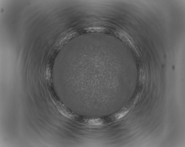 X0000087670173200705181713