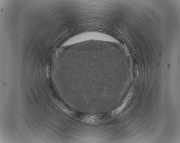 X0000087670174200705181714