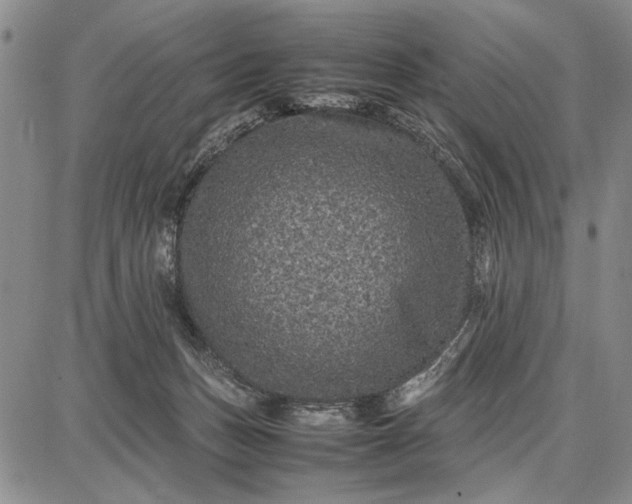 X0000087670175200705181714