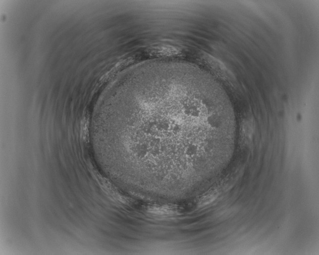 X0000087670177200705181714