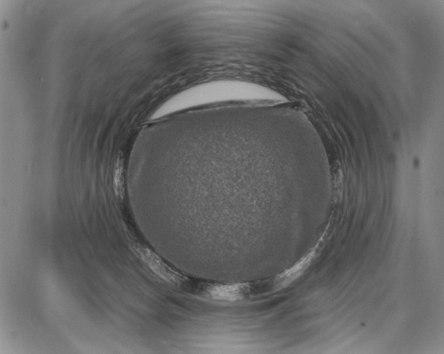 X0000087670178200705181714