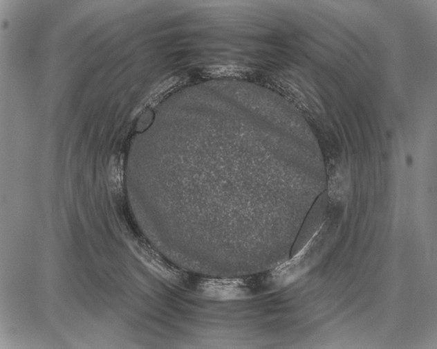 X0000087670179200705181714