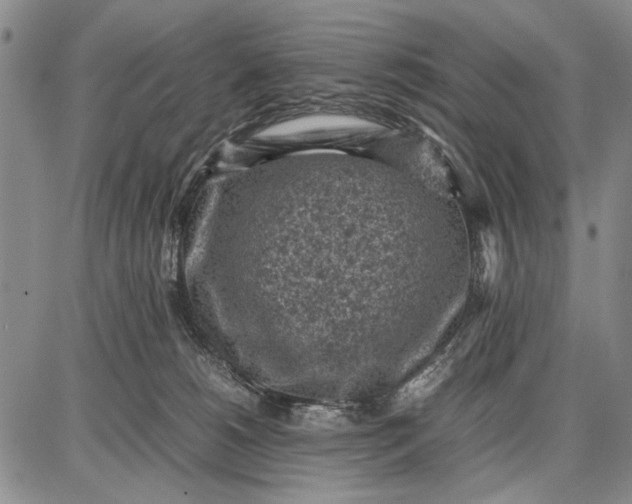 X0000087670180200705181714