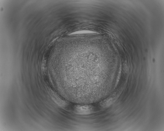 X0000087670181200705181714