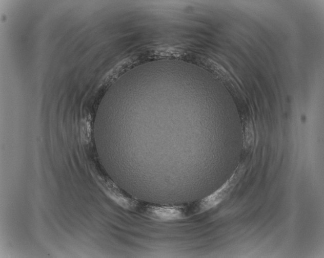 X0000087670183200705181714