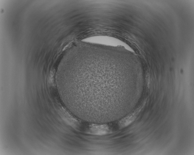 X0000087670185200705181714