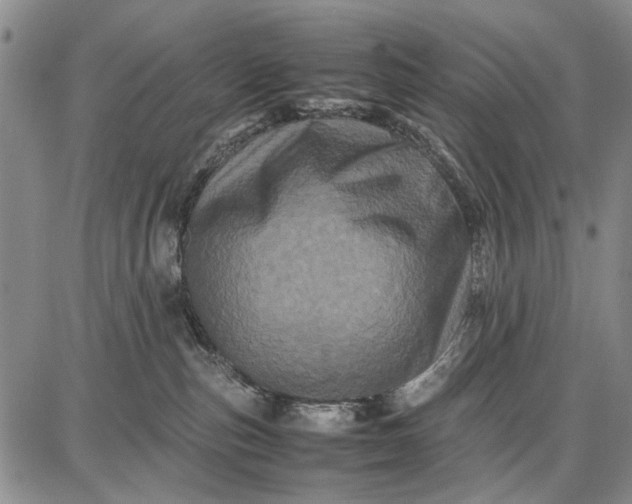 X0000087670187200705181714