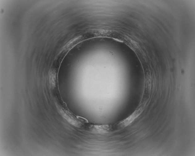 X0000087670188200705181714