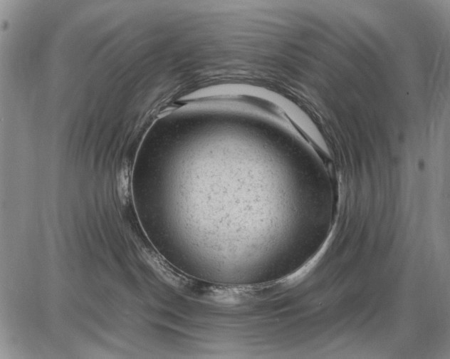 X0000087670190200705181714