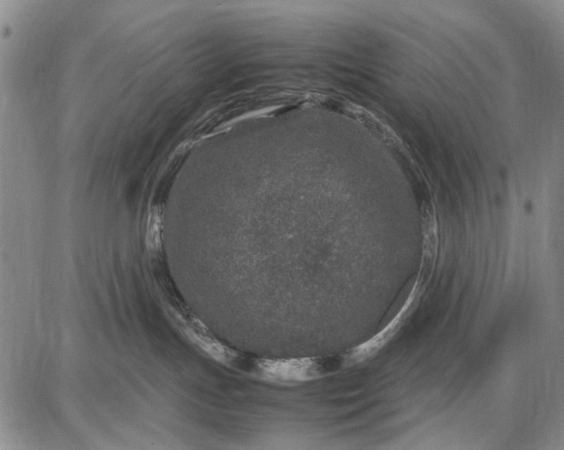 X0000087670191200705181714