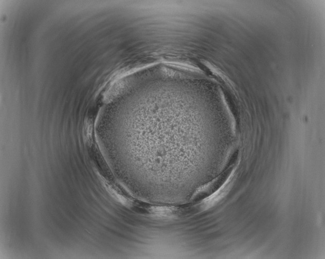 X0000087670192200705181714