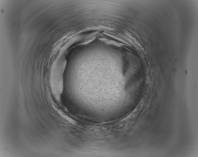 X0000087670193200705181713