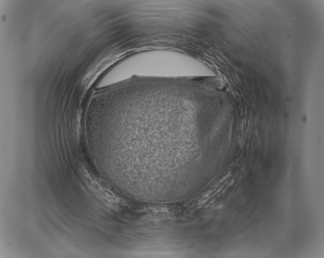 X0000087670194200705181713