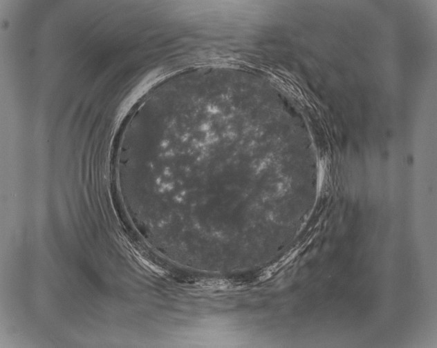 X0000087670195200705181713