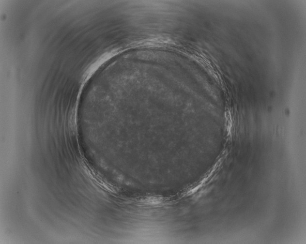 X0000087670196200705181713