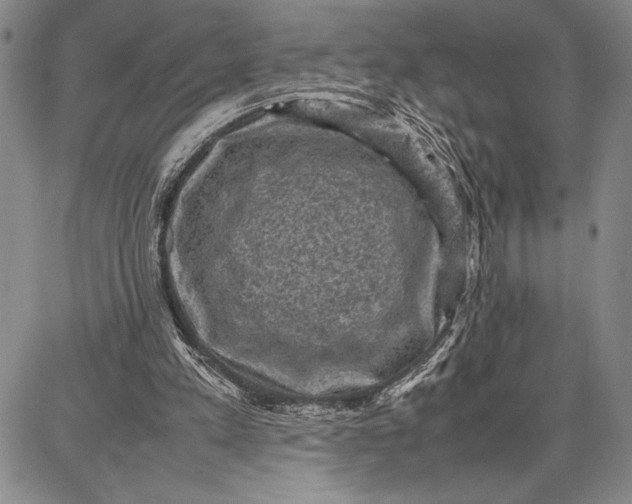 X0000087670197200705181713