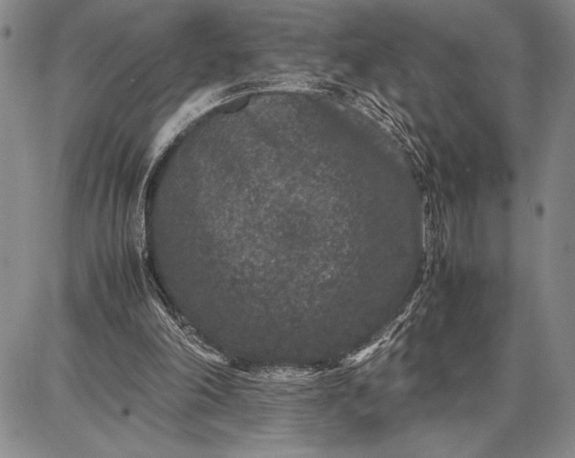 X0000087670198200705181713