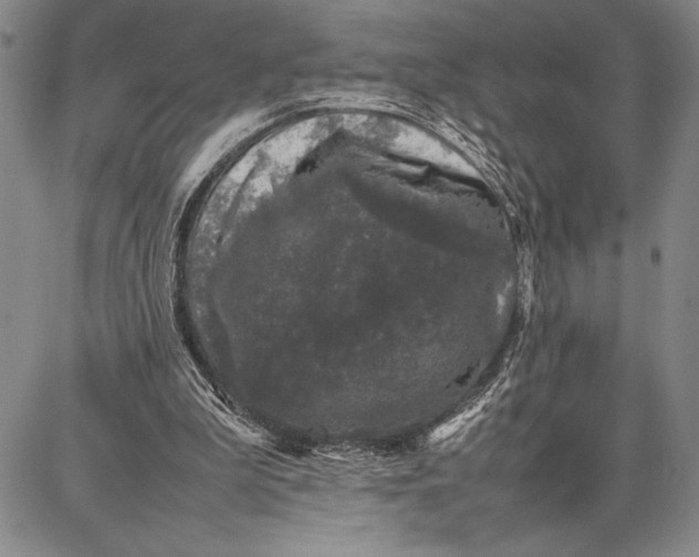 X0000087670199200705181713