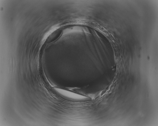 X0000087670200200705181713