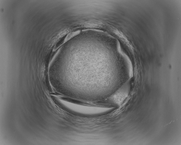 X0000087670201200705181713