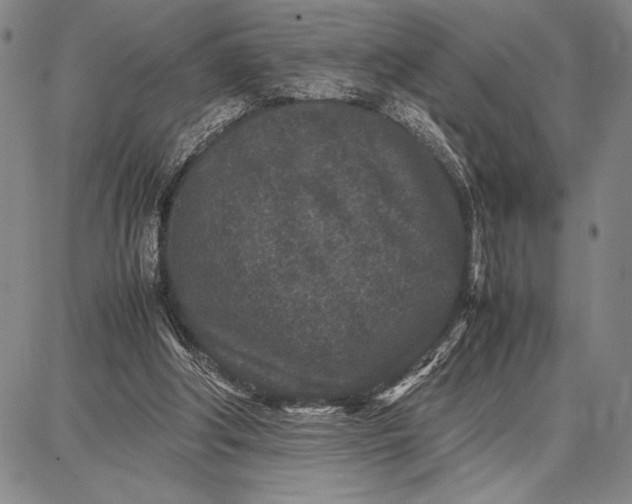 X0000087670202200705181713