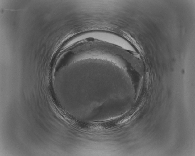 X0000087670203200705181713