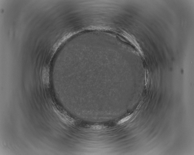 X0000087670204200705181713