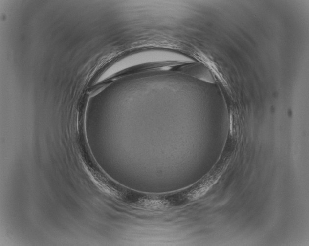 X0000087670205200705181713