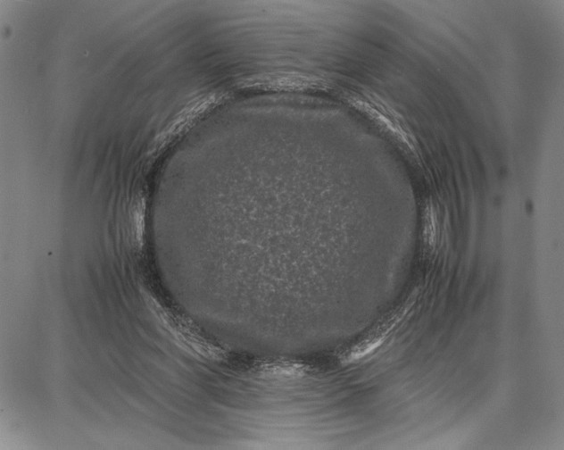 X0000087670206200705181713