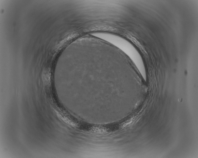 X0000087670207200705181713