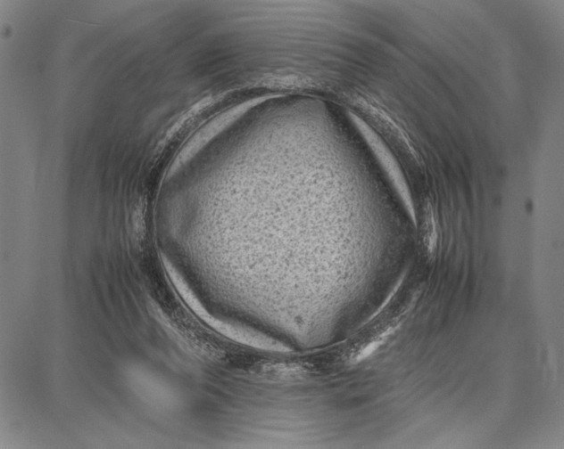 X0000087670208200705181713