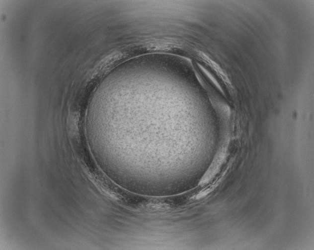 X0000087670209200705181713