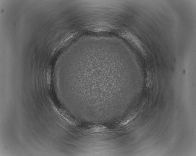 X0000087670210200705181713