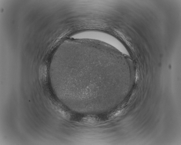 X0000087670211200705181713