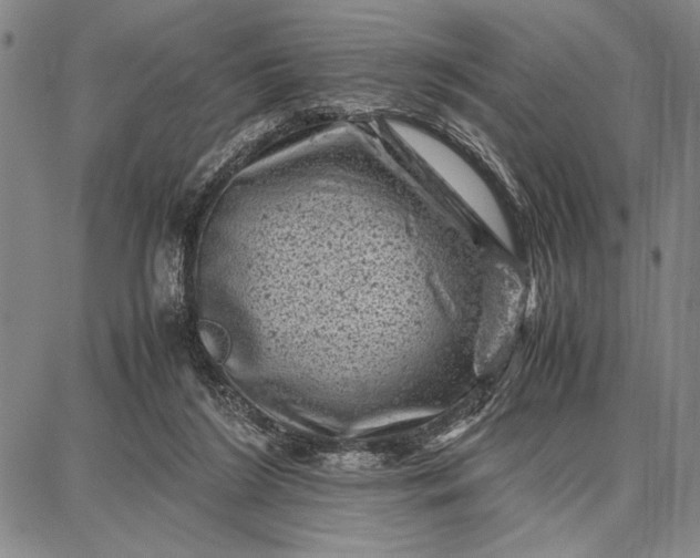 X0000087670212200705181713