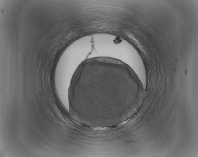 X0000087670213200705181713