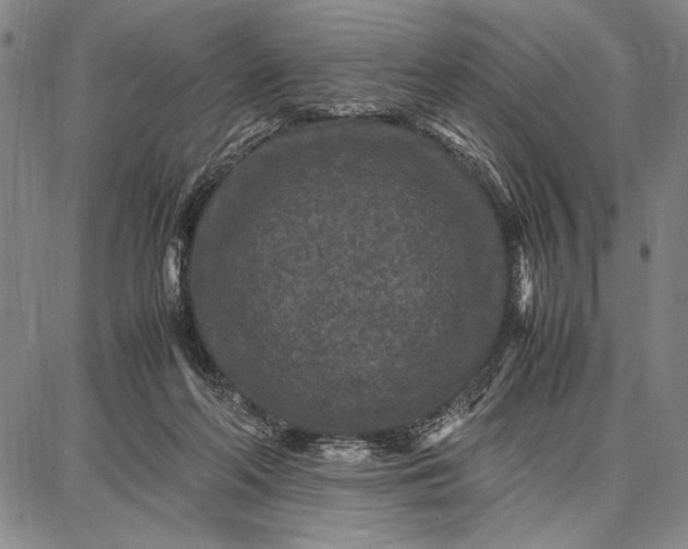 X0000087670214200705181713