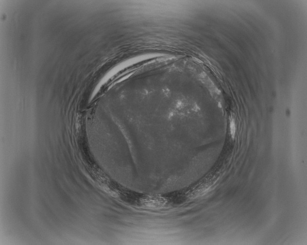 X0000087670215200705181713